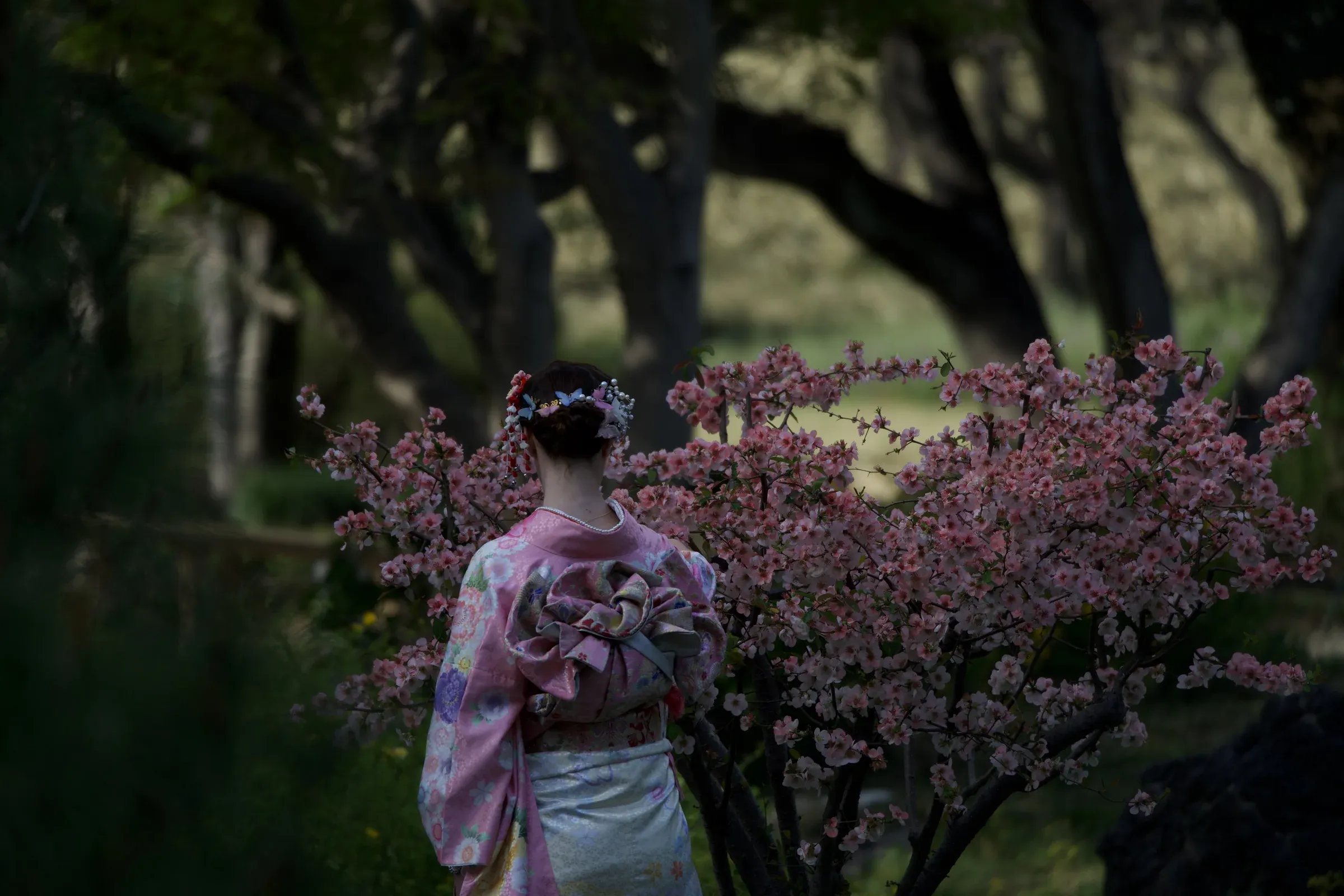 Kimono