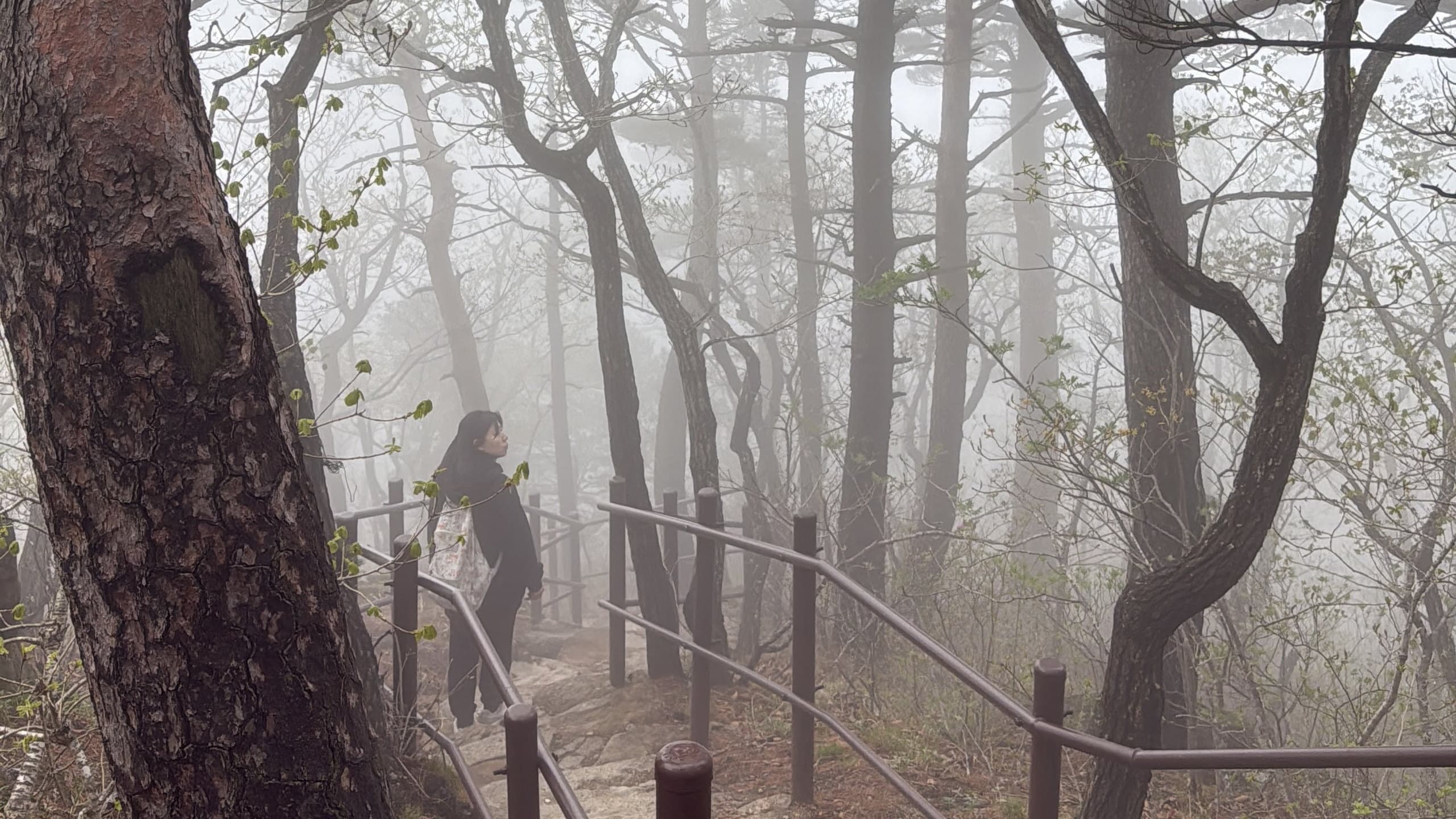 Parque Nacional Seoraksan